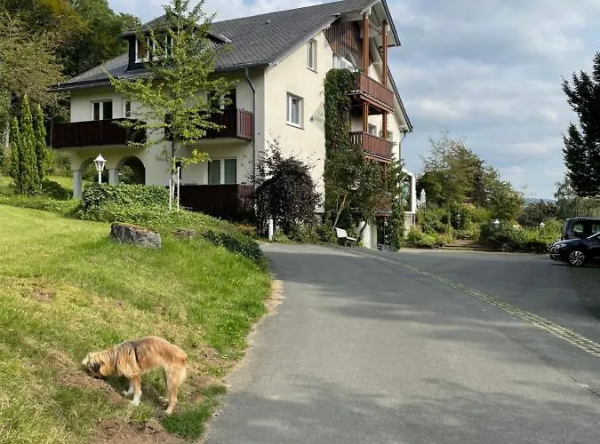 Bed & Breakfast Loft Hoelsterloh